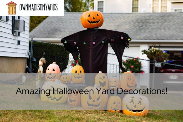 Amazing Halloween Yard Decorations!
