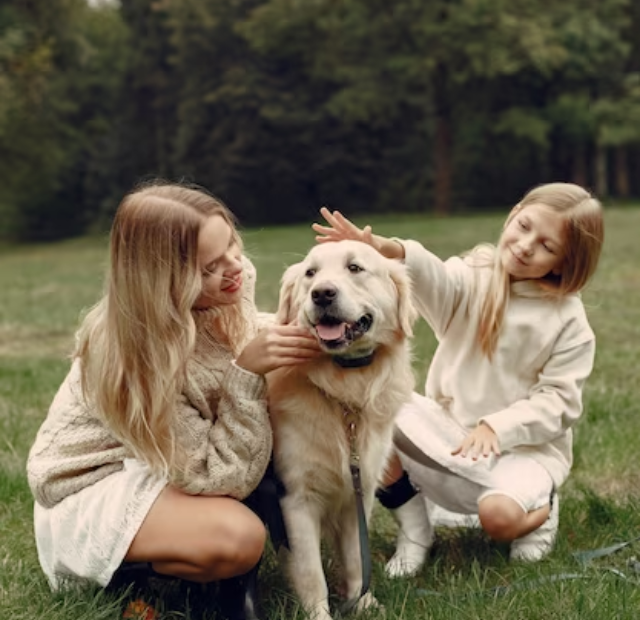 ARE GOLDEN RETRIEVERS GOOD FAMILY DOGS?