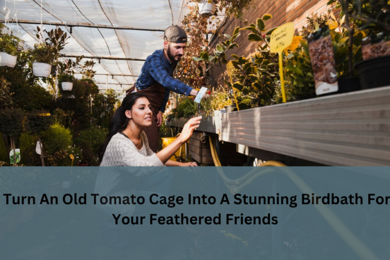 Turn An Old Tomato Cage Into A Stunning Birdbath For Your Feathered Friends