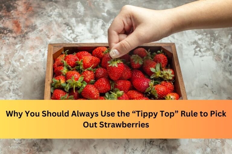 Why You Should Always Use the “Tippy Top” Rule to Pick Out Strawberries